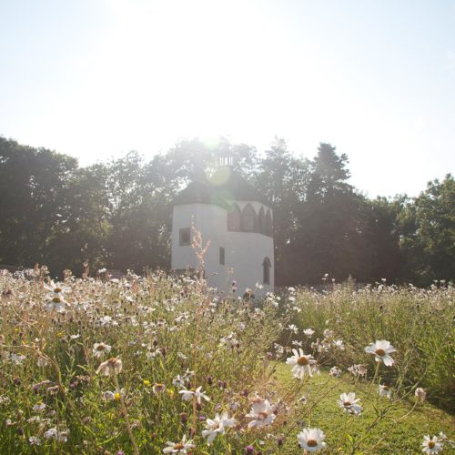 The wildflower meadow in front of the Summerhouse at Homme House