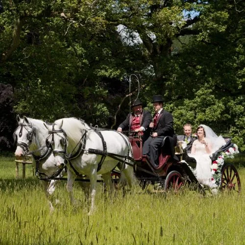 Wedding carriage in historic Homme House parkland