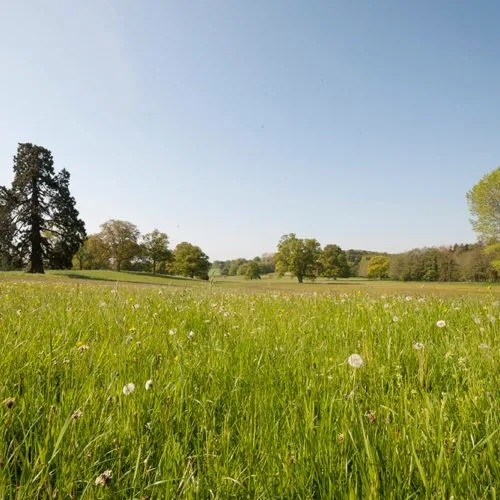 Homme House parkland