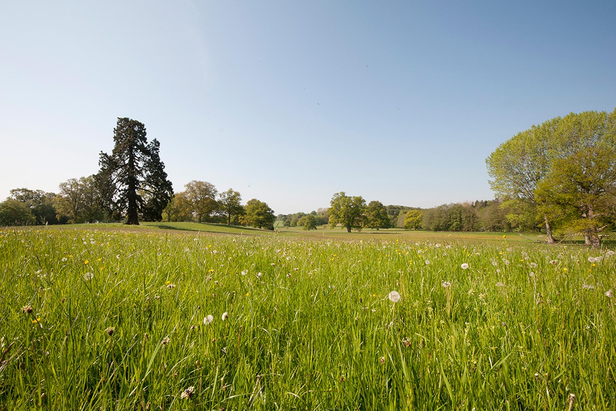 Homme House parkland
