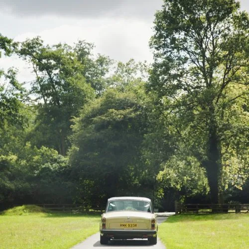 Wedding car in parkland