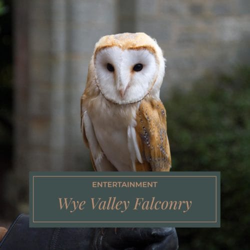 Wye-Valley-Falconry