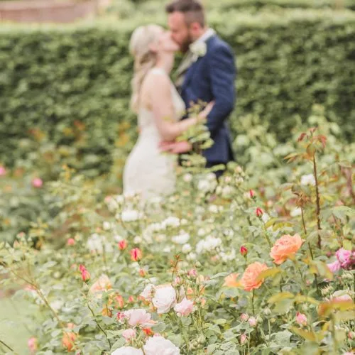 A wedding couple kiss in the rose garden at Homme House