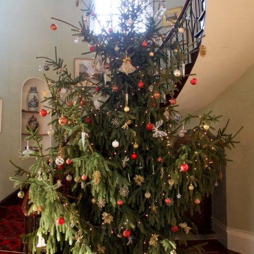 Homme-House-Christmas-tree