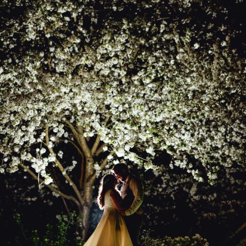 Bride-and-groom-under-uplit-blossom-in-evening-at-Homme-House-wedding