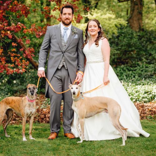 Bride-and-groom-with-dogs-on-main-lawn
