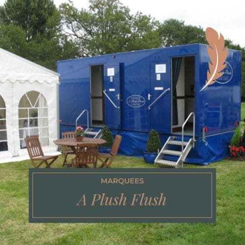 A-Plush-Flush