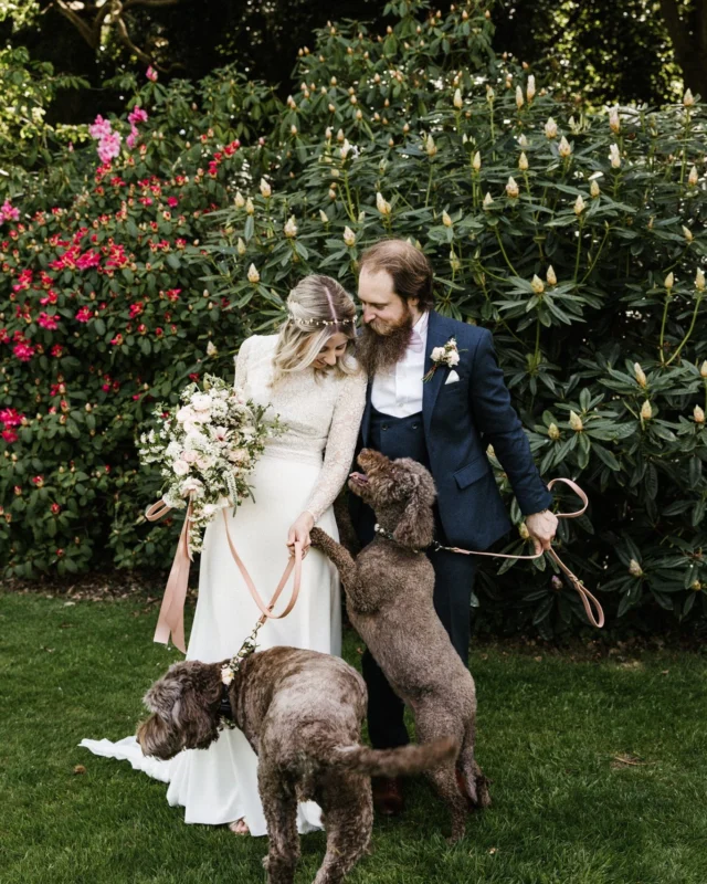 A very happy wedding anniversary to K&C. They were married in our Walled Garden followed by a lawn reception and photos with their dogs in the Spring sunshine captured here by @throughthewoodsweran 

 #weddingplanning #2026wedding #2026bride #ukweddingvenue #herefordshireweddingvenue #herefordshirewedding #nocorkage #exclusiveuseweddingvenue #uniqueweddingvenue #uniquewedding #manorhousewedding #countryhouseweddingvenue #countryhouseweddings #countryhousewedding #hommehousewedding #hommehouse #maywedding #mayweddings #mayweddingflowers #mayweddingplanner